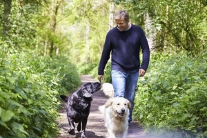 Hoeveel keer per dag moet jy met 'n hond stap