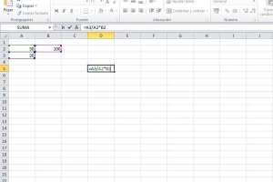 Hoe om 'n persentasie in Excel te bereken