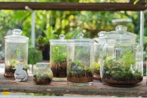 Hoe om 'n goedkoop terrarium te maak